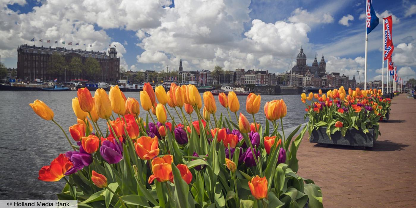 Tulipfestival 2016 - (c) Holland Media Bank